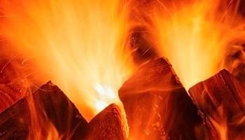 Energie update Rode Slang levenspad 7 - 19 februari 2019